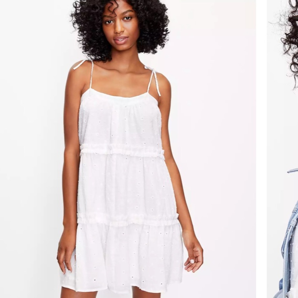 LOFT cotton eyelet swing dress